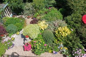 Photo 41- click for photo gallery